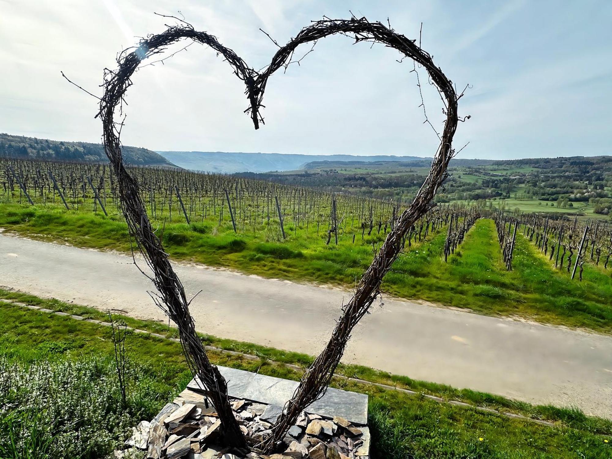 Ferienwohnung Moselherz - Urlaub Im Wein- Und Ferienort Bekond Exterior photo