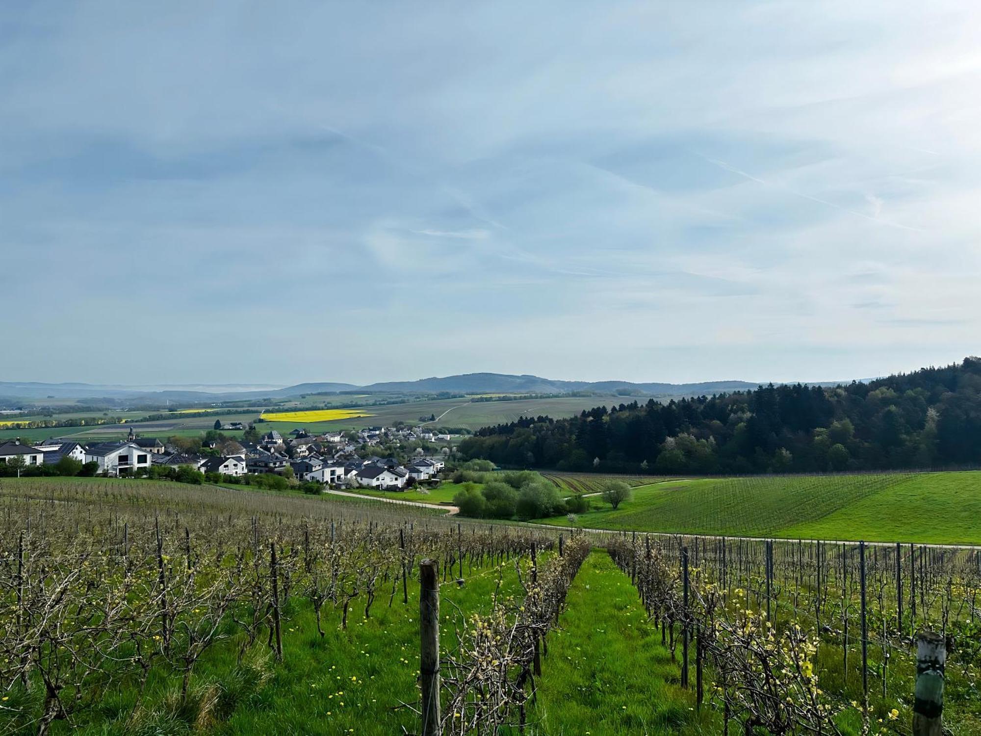 Ferienwohnung Moselherz - Urlaub Im Wein- Und Ferienort Bekond Exterior photo